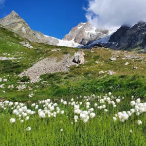 100 % Women’s Trail Around Mont Blanc – 6 Days