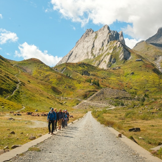 Tour du Mont Blanc in 7 days - D3