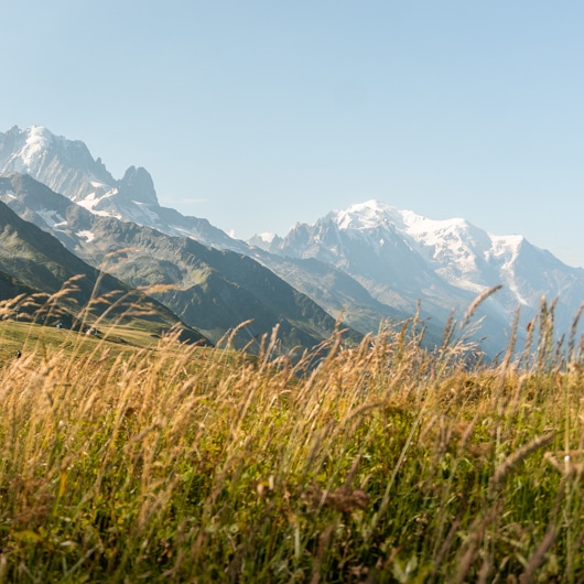 Tour du Mont Blanc in 7 days - D7