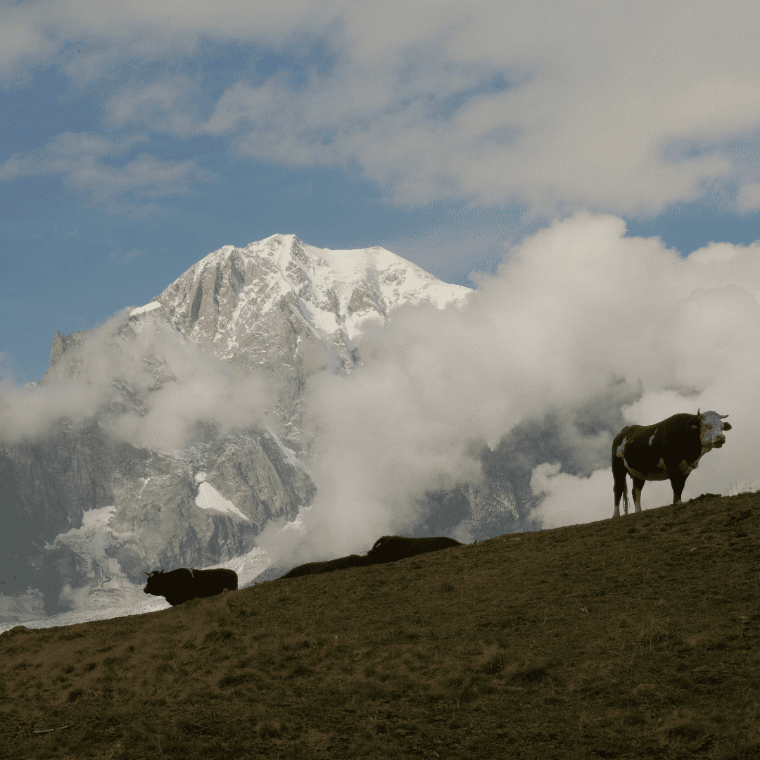 Tour du Mont Blanc Intégral - J5