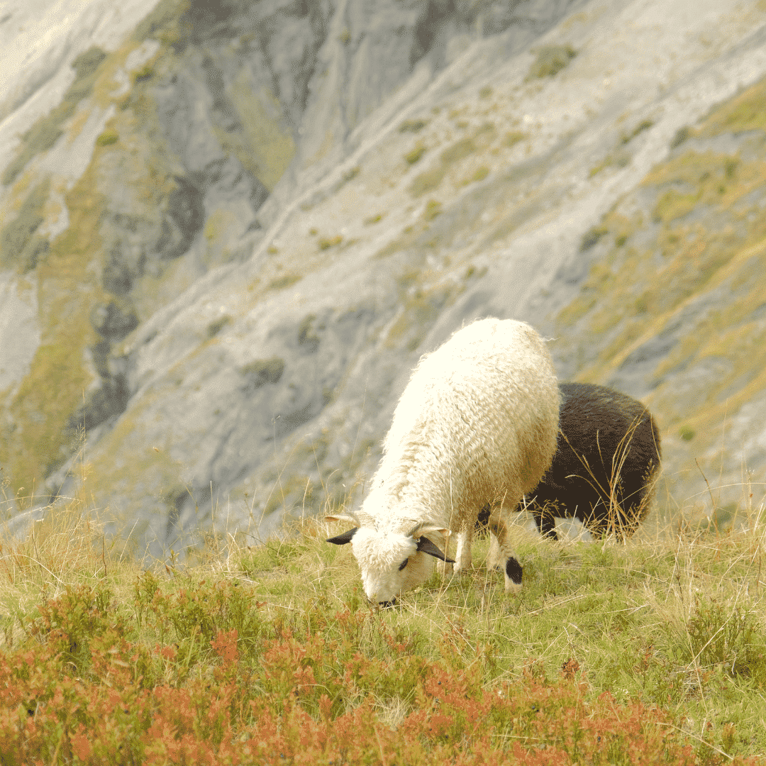 Tour du Mont Blanc Intégral - J7